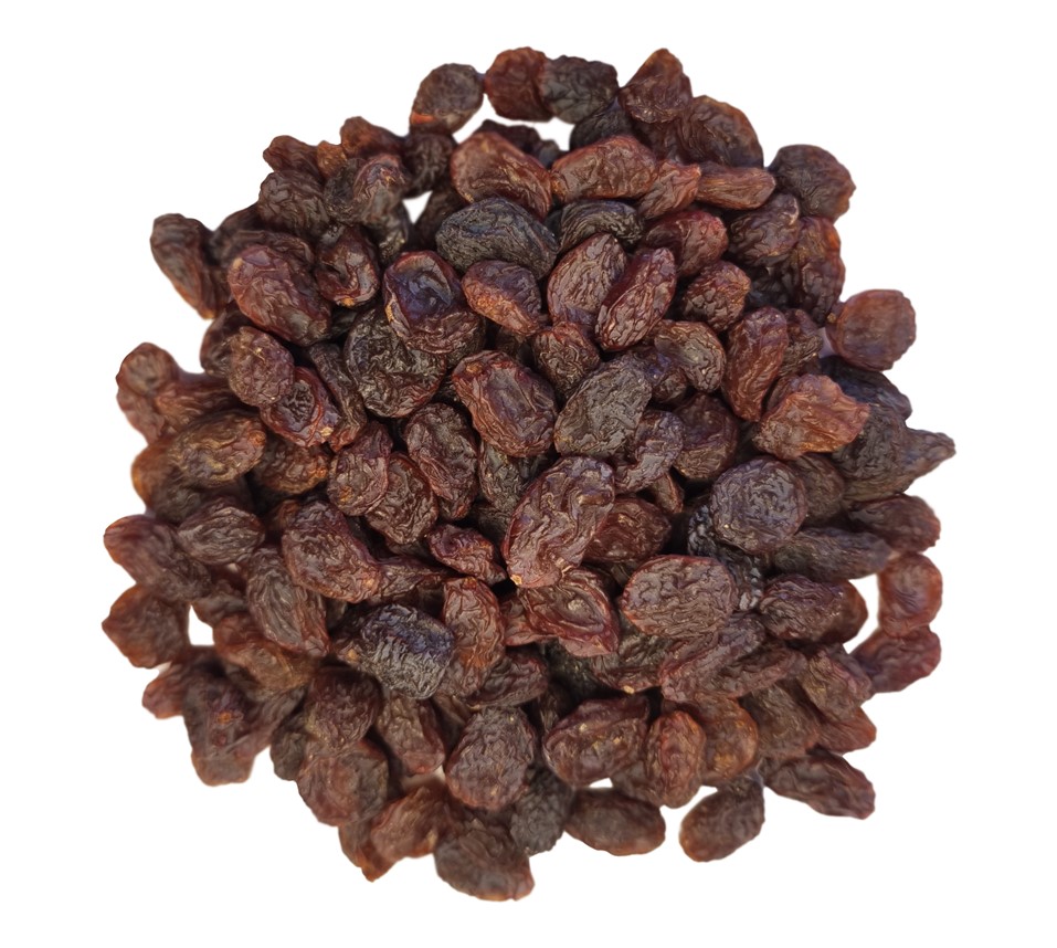 20220708_173909_edit.jpg (957 x 858)