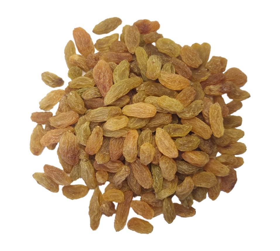 20220708_180756_edit.jpg (957 x 858)