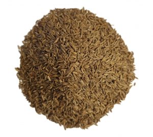 20220724_170652_edit.jpg (957 x 858)